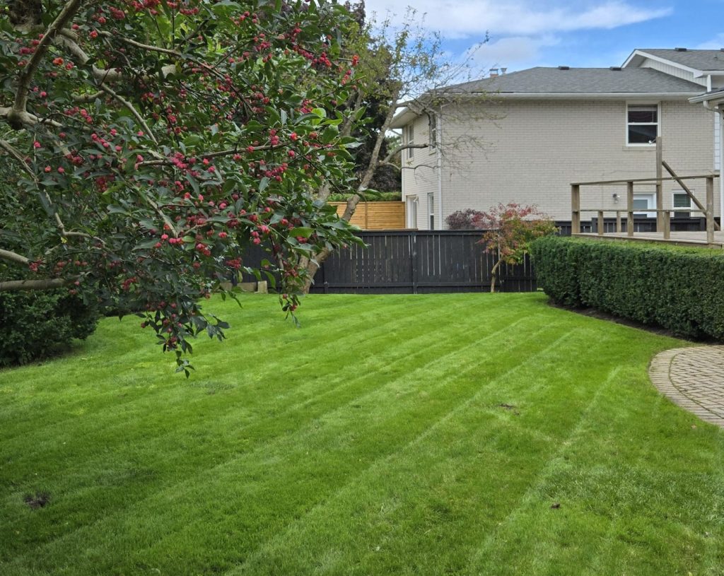 The Ultimate Guide to Watering Your Lawn