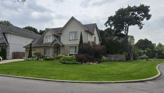 Lush green front corner house yard