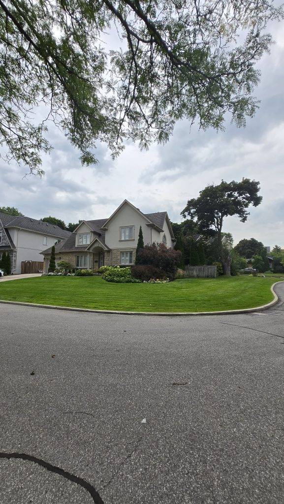 Lush green front corner house yard