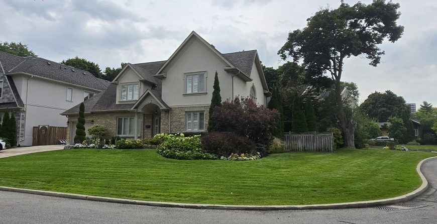 Lush green front corner house yard